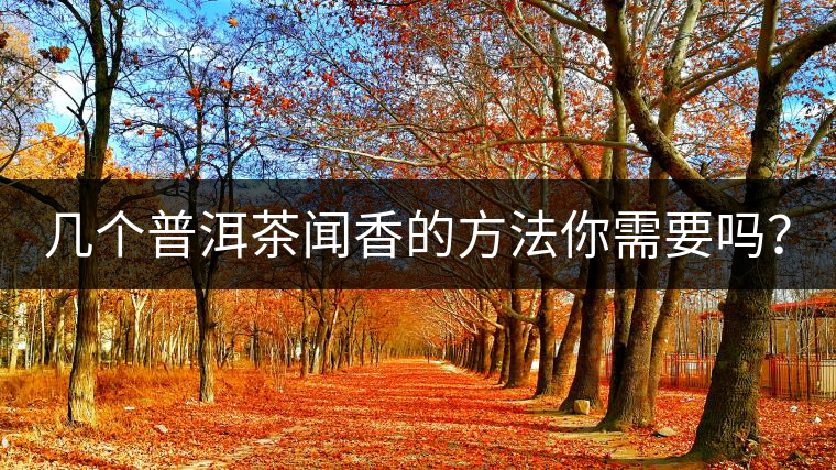 幾個(gè)普洱茶聞香的方法你需要嗎？