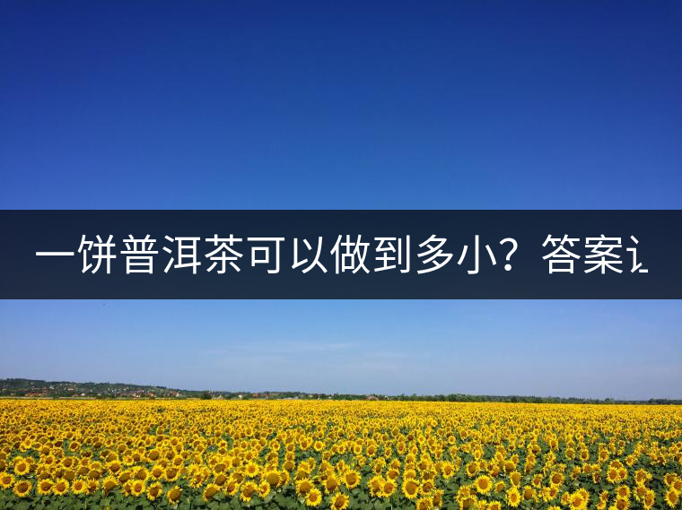 一餅普洱茶可以做到多?。看鸢缸屓艘庀氩坏?..