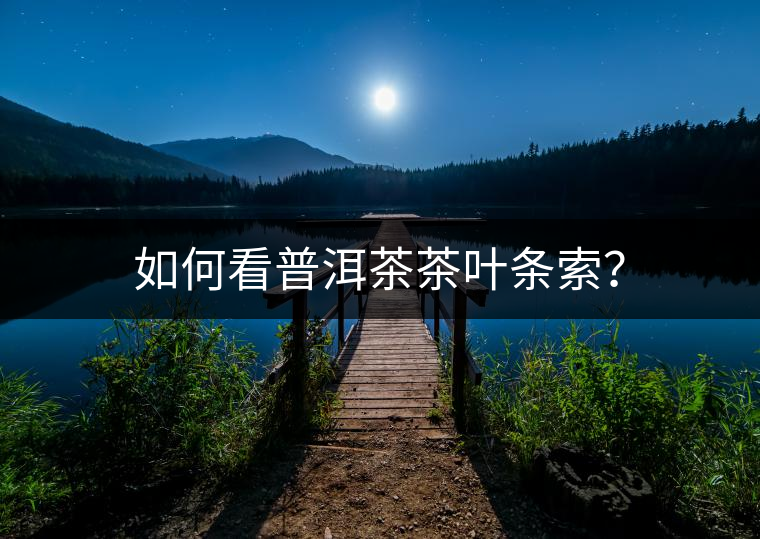 如何看普洱茶茶葉條索？