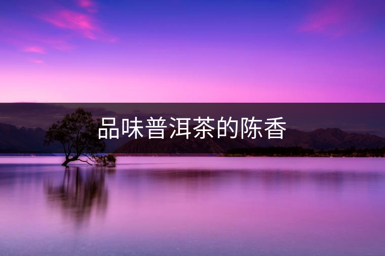 品味普洱茶的陳香 品味普洱茶的陳香