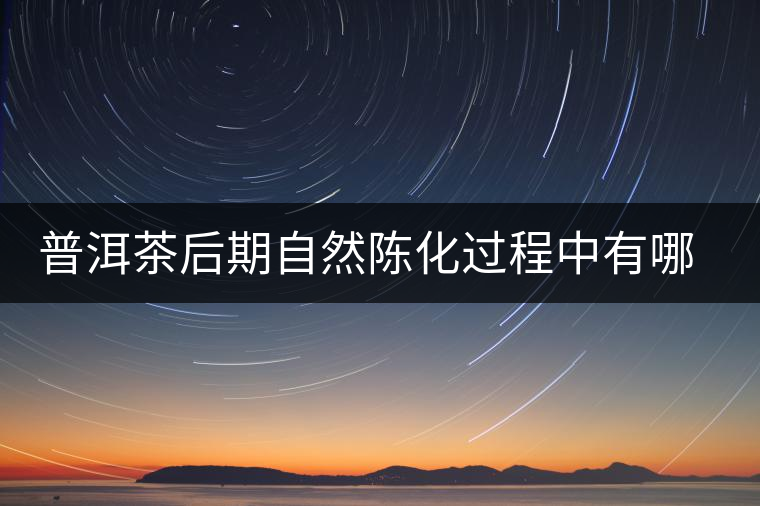 普洱茶后期自然陳化過程中有哪些變化？