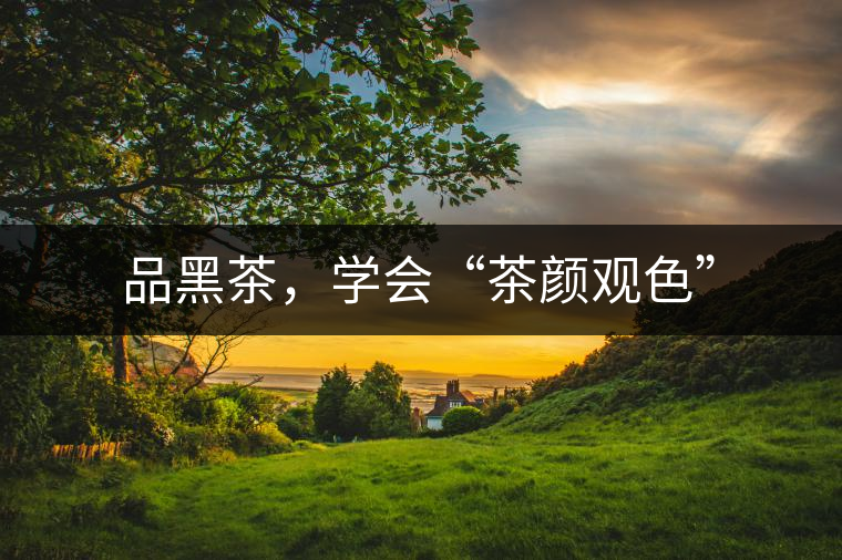 品黑茶，學(xué)會(huì)“茶顏觀色”