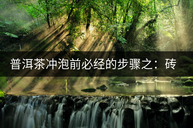 普洱茶沖泡前必經(jīng)的步驟之：磚茶如何撬？