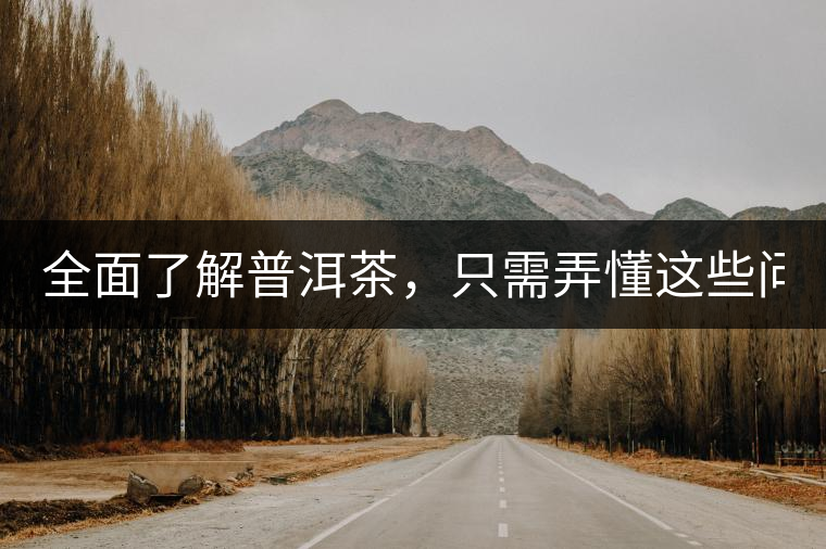 全面了解普洱茶，只需弄懂這些問題！