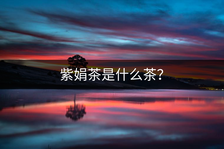 紫娟茶是什么茶？