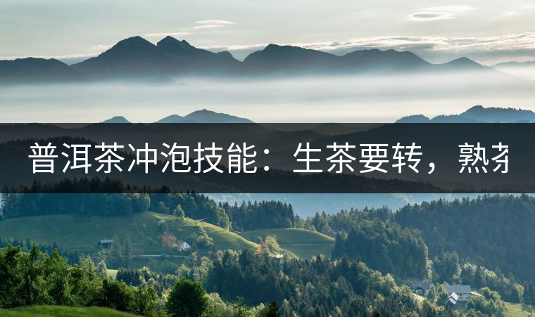 普洱茶沖泡技能：生茶要轉(zhuǎn)，熟茶要柔！