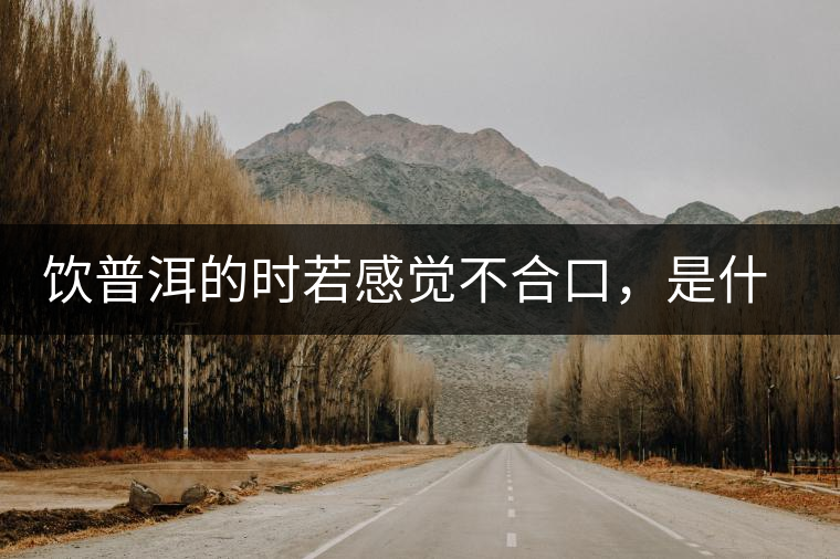 飲普洱的時若感覺不合口，是什么原呢？