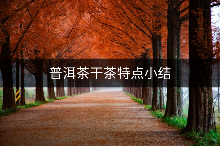 普洱茶干茶特點小結(jié) 普洱茶干茶特點小結(jié)