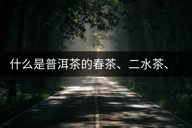 什么是普洱茶的春茶、二水茶、三水茶、四水茶