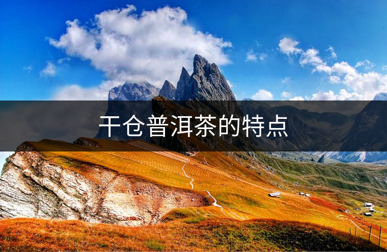 干倉普洱茶的特點