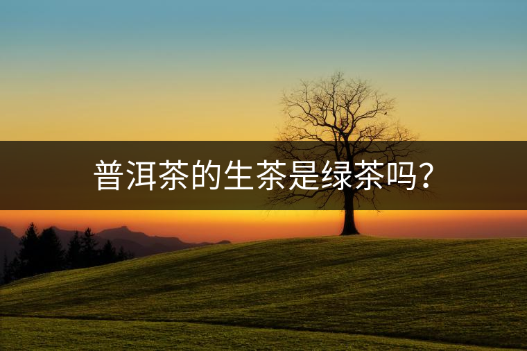 普洱茶的生茶是綠茶嗎？