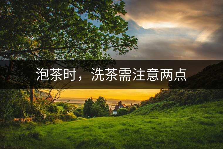 泡茶時，洗茶需注意兩點