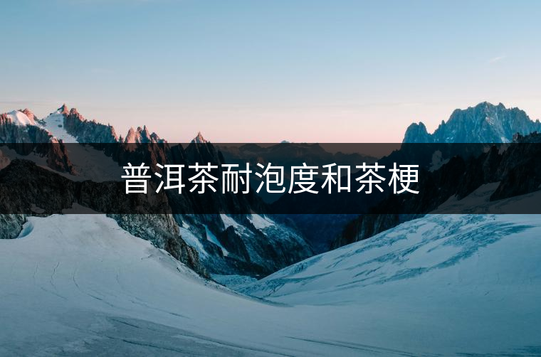 普洱茶耐泡度和茶梗