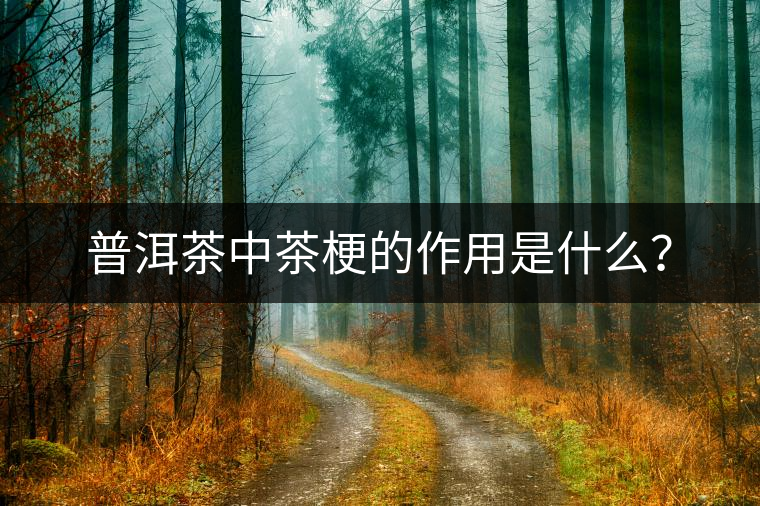 普洱茶中茶梗的作用是什么？