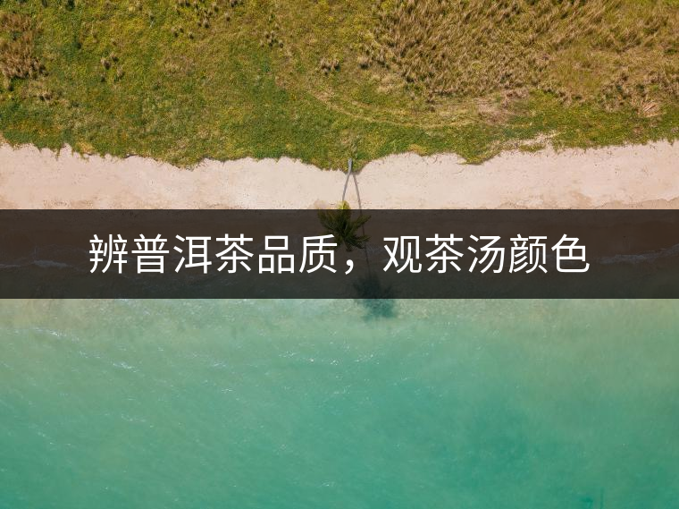 辨普洱茶品質(zhì)，觀茶湯顏色