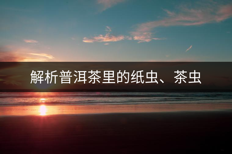 解析普洱茶里的紙蟲、茶蟲