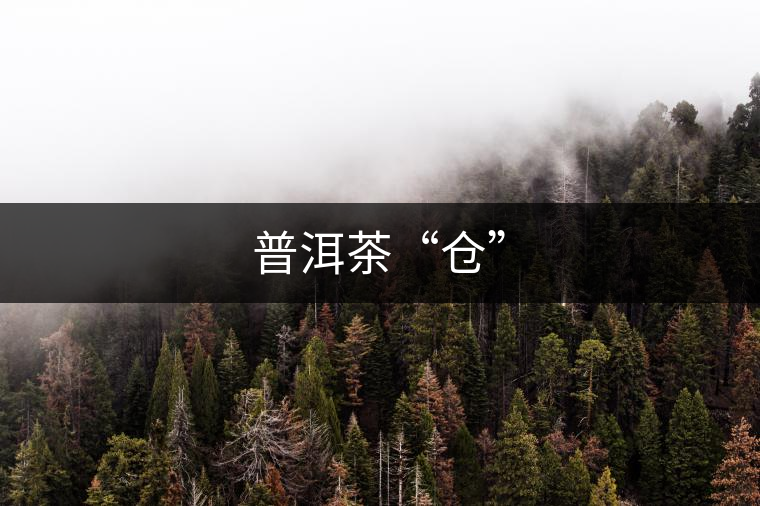 普洱茶“倉” 普洱茶“倉”