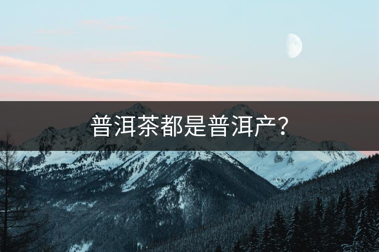 普洱茶都是普洱產(chǎn)？