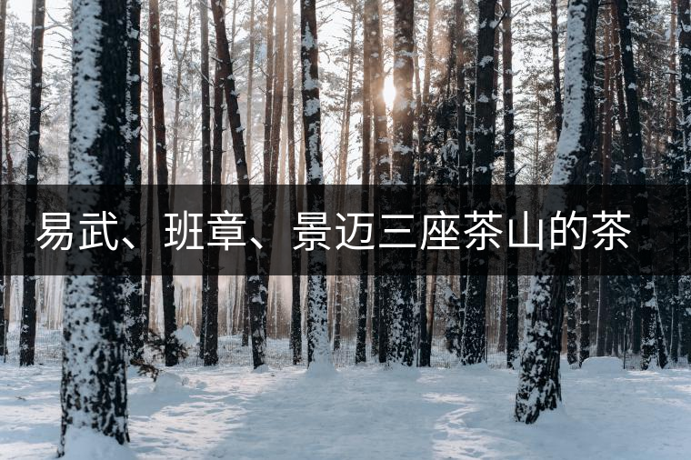 易武、班章、景邁三座茶山的茶比較