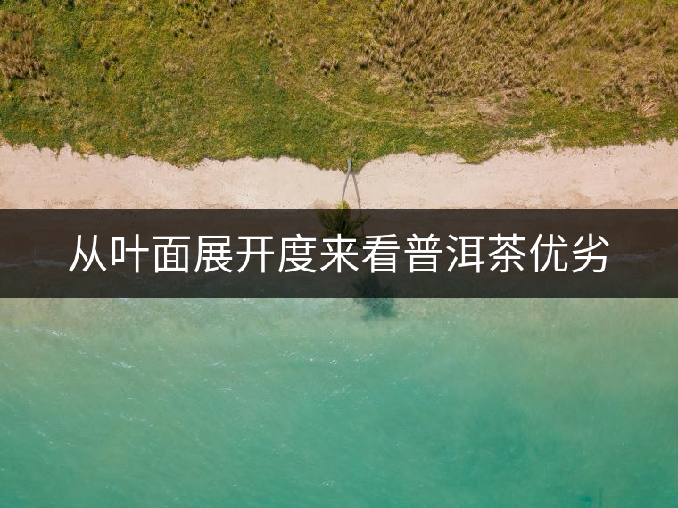 從葉面展開度來看普洱茶優(yōu)劣