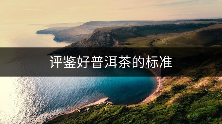 評(píng)鑒好普洱茶的標(biāo)準(zhǔn)