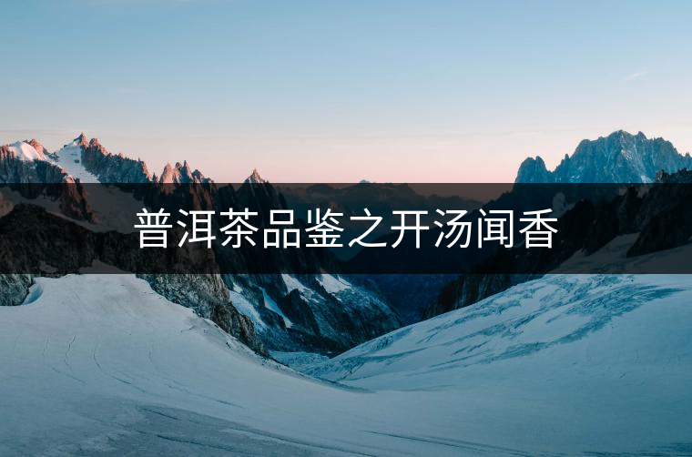 普洱茶品鑒之開湯聞香