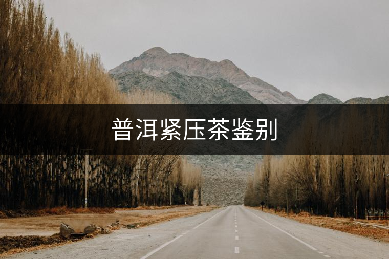 普洱緊壓茶鑒別