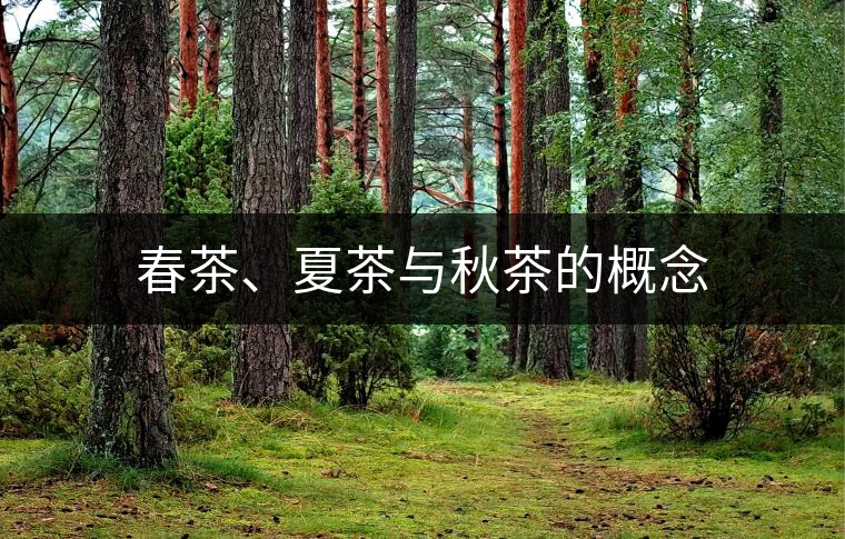 春茶、夏茶與秋茶的概念