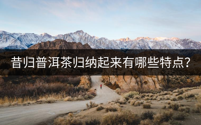 昔歸普洱茶歸納起來(lái)有哪些特點(diǎn)？