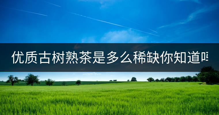優(yōu)質(zhì)古樹(shù)熟茶是多么稀缺你知道嗎？