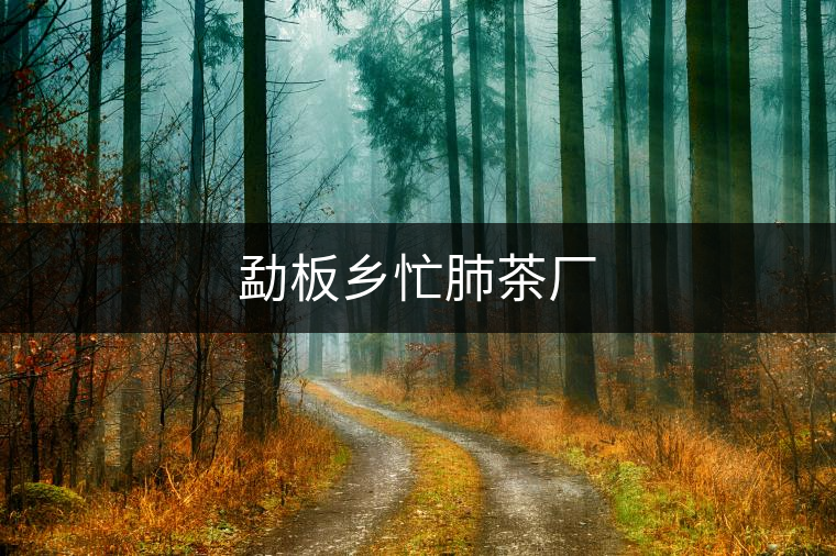 勐板鄉(xiāng)忙肺茶廠