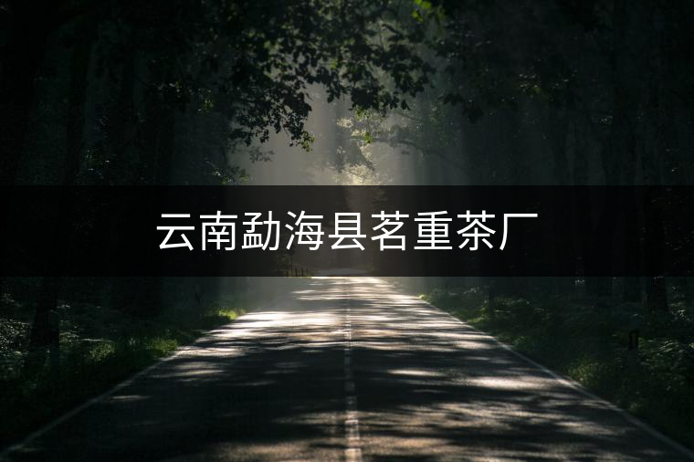 云南勐?？h茗重茶廠
