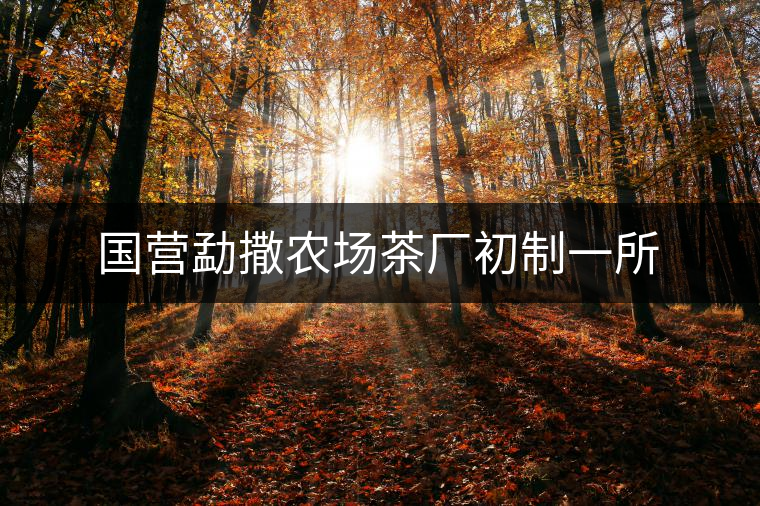 國(guó)營(yíng)勐撒農(nóng)場(chǎng)茶廠初制一所