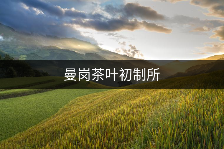 曼崗茶葉初制所