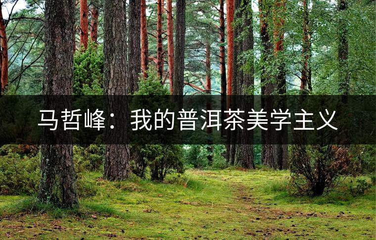 馬哲峰：我的普洱茶美學主義