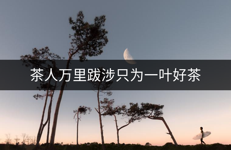 茶人萬(wàn)里跋涉只為一葉好茶 茶人萬(wàn)里跋涉只為一葉好茶