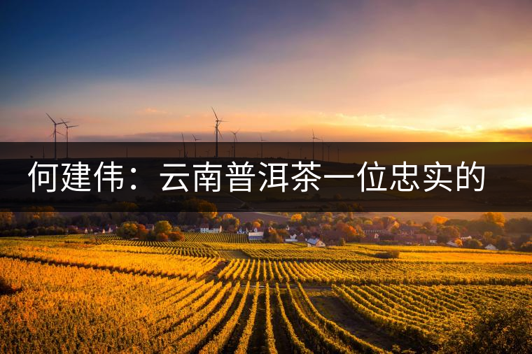 何建偉:云南普洱茶一位忠實(shí)的吶喊者 何建偉:云南普洱茶一位忠實(shí)的吶喊者