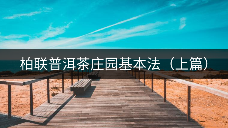 柏聯(lián)普洱茶莊園基本法（上篇）