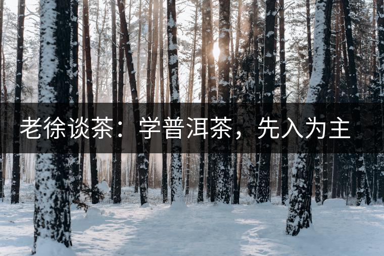 老徐談茶：學(xué)普洱茶，先入為主易被打臉，還得實(shí)踐出真知！