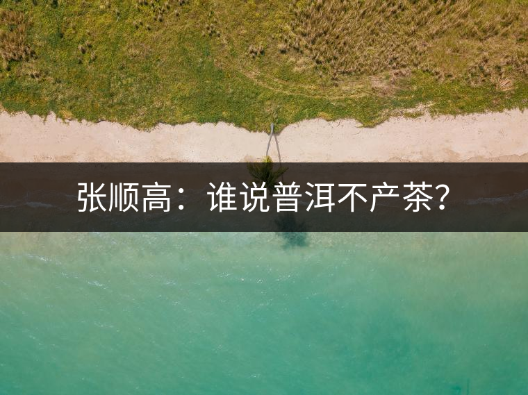 張順高：誰說普洱不產(chǎn)茶？