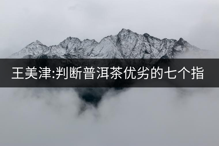 王美津:判斷普洱茶優(yōu)劣的七個指標之“質”