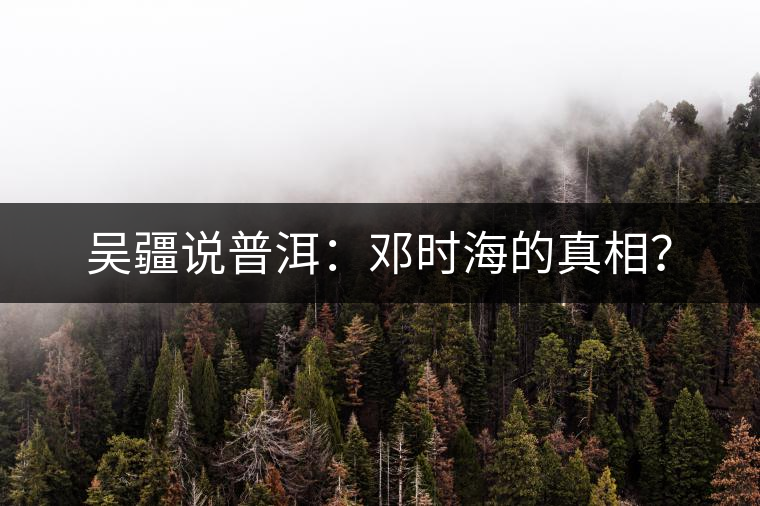 吳疆說普洱：鄧時海的真相？