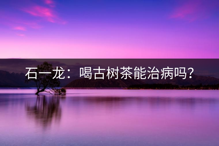 石一龍：喝古樹茶能治病嗎？