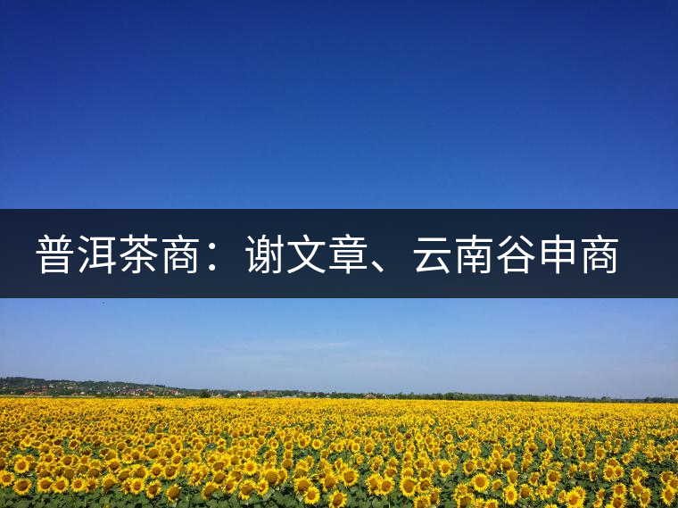 普洱茶商：謝文章、云南谷申商貿(mào)有限公司總經(jīng)理