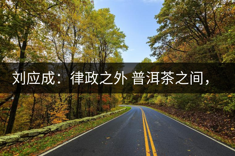 劉應成：律政之外 普洱茶之間，在峨毛茶上的三個首創(chuàng)