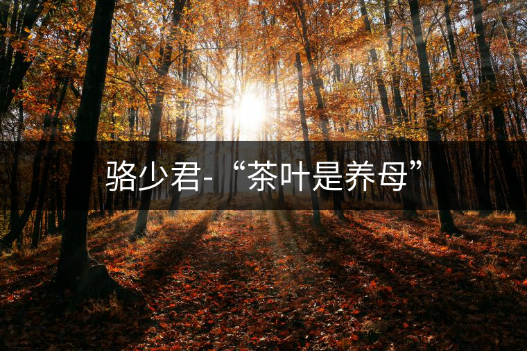 駱少君-“茶葉是養(yǎng)母”