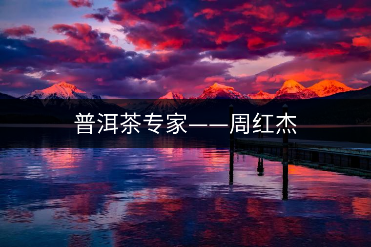 普洱茶專家——周紅杰