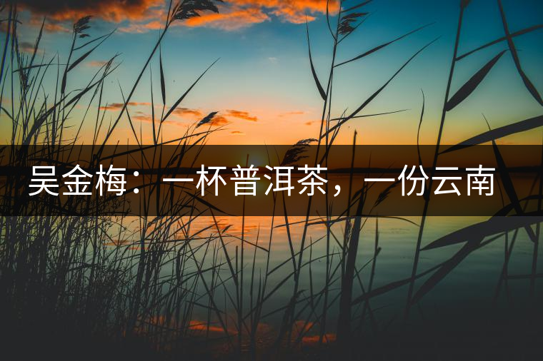 吳金梅：一杯普洱茶，一份云南情