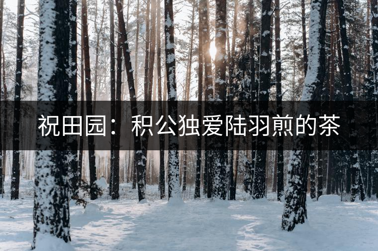 祝田園:積公獨(dú)愛(ài)陸羽煎的茶 祝田園:積公獨(dú)愛(ài)陸羽煎的茶