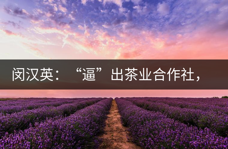 閔漢英:“逼”出茶業(yè)合作社,帶領(lǐng)村民走上致富路 閔漢英:“逼”出茶業(yè)合作社,帶領(lǐng)村民走上致富路